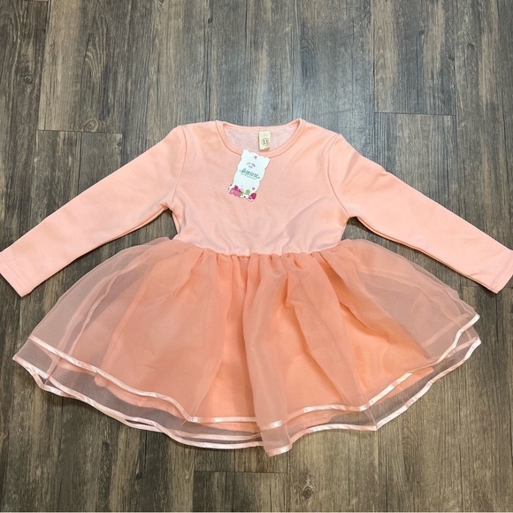NWT Girls Pink Long Sleeves Tulle Tutu Dress Size 3 - Picture 1 of 6